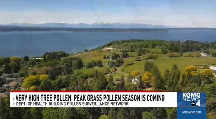 KOMO News coverage thumbnail